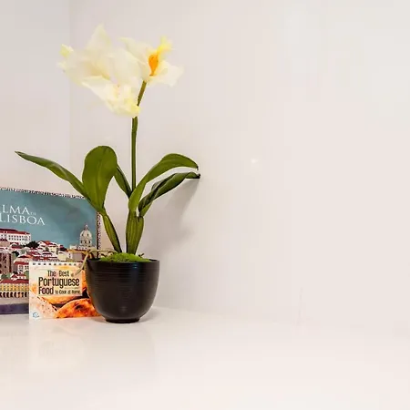 Apartment Liberdade 12 By The Good Neighbour In Lisbon